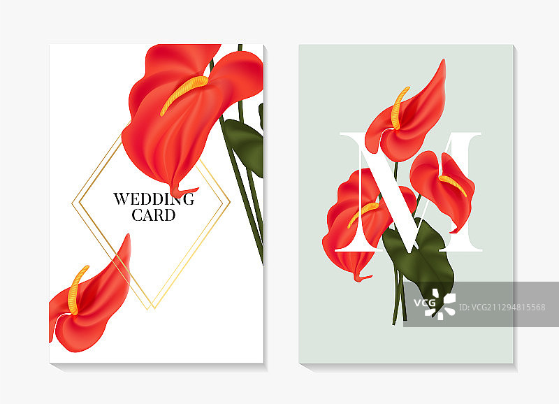 红色红掌花卉卡片简约婚礼设计图片素材