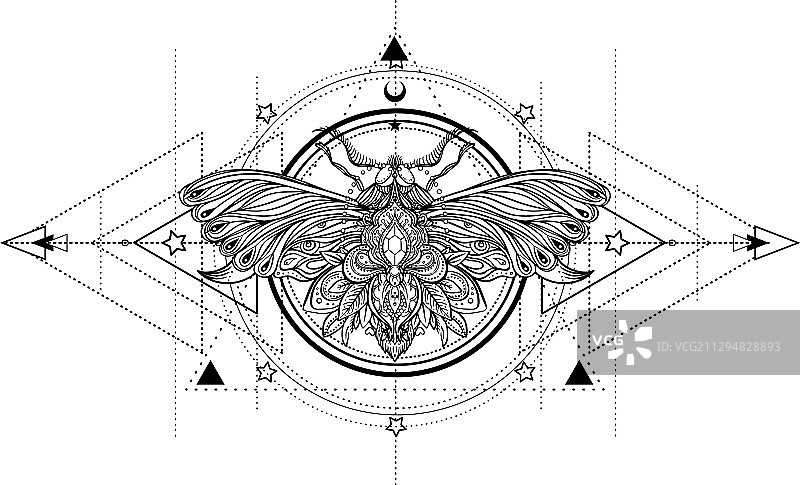 黑白蝴蝶与神圣几何图案图片素材