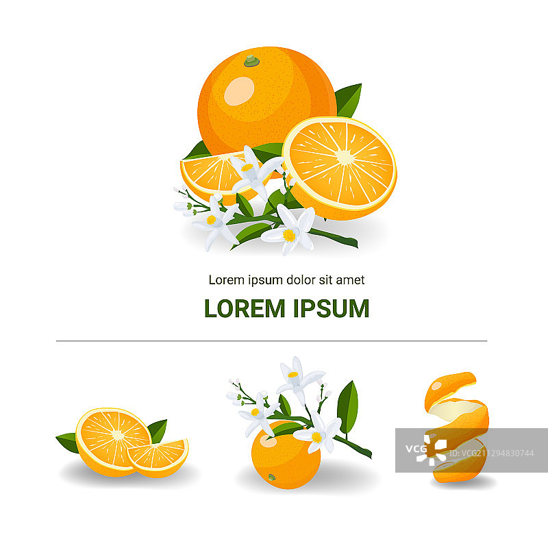 新鲜柑橘类水果橙子图片素材