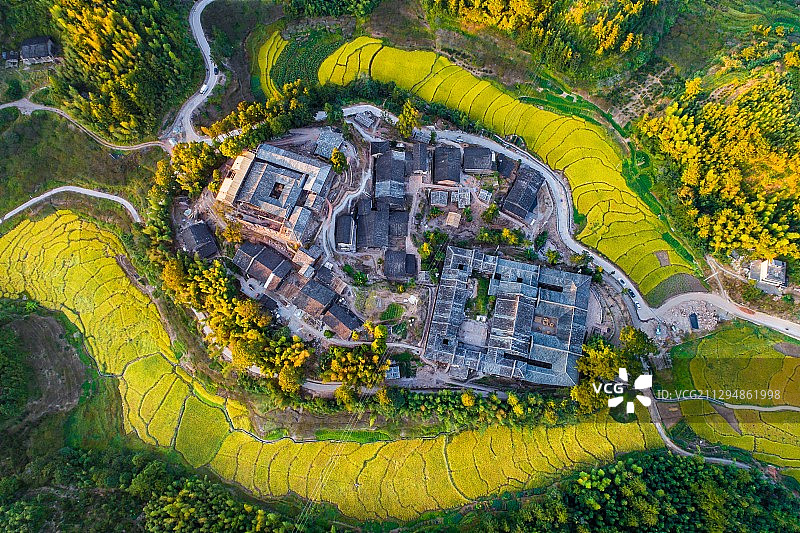 田园中的古厝图片素材