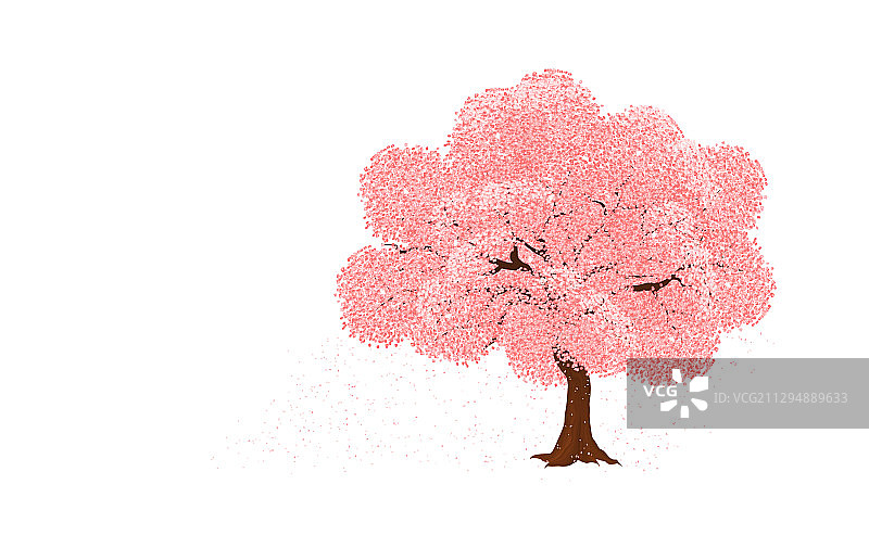 樱花——日本樱花树图片素材