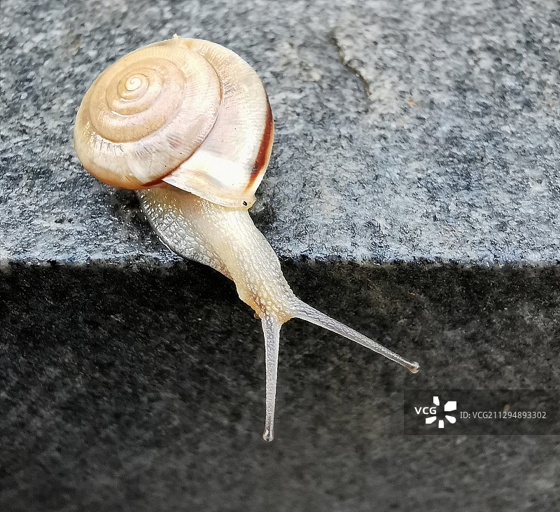 创意摄影-探索……图片素材