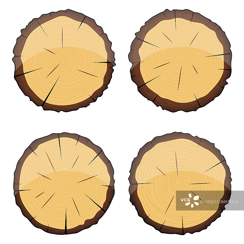 树木横截面图片素材