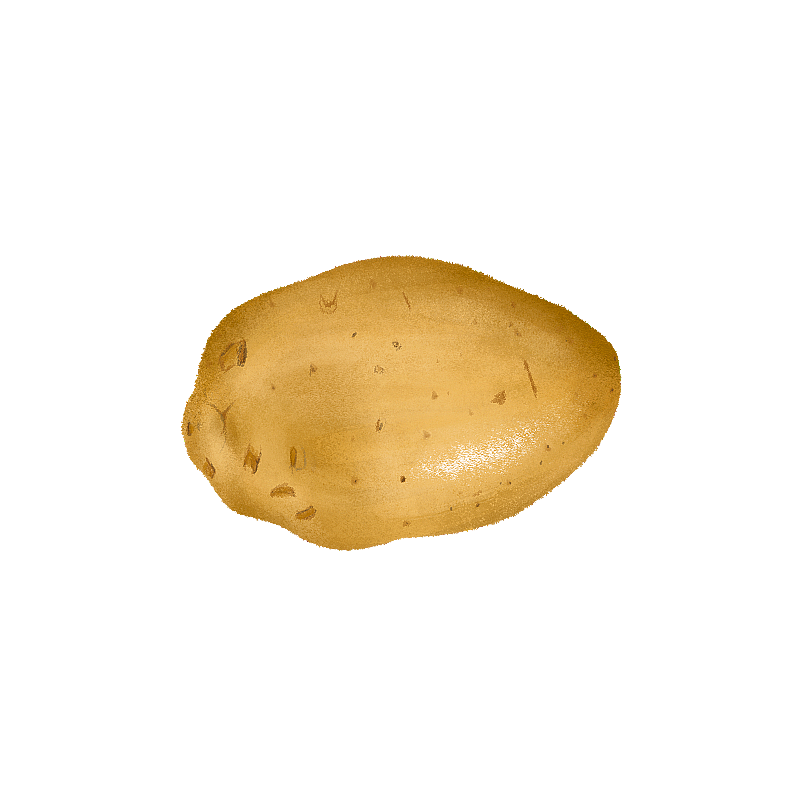 一颗土豆图片素材