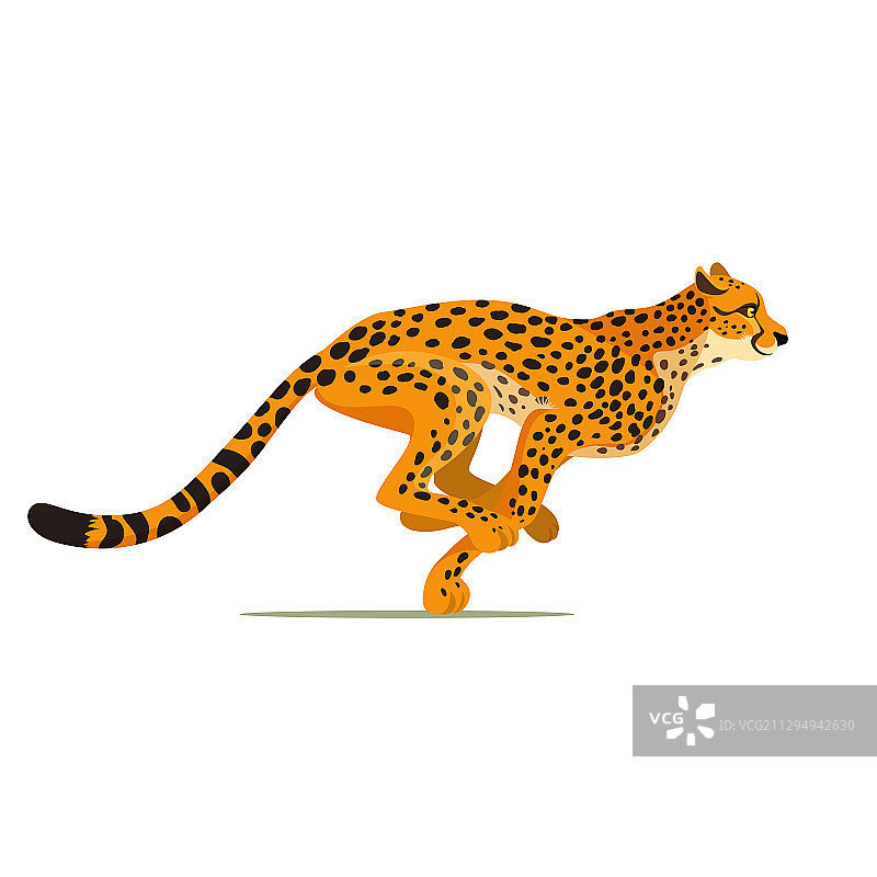 奔跑的猎豹图片素材