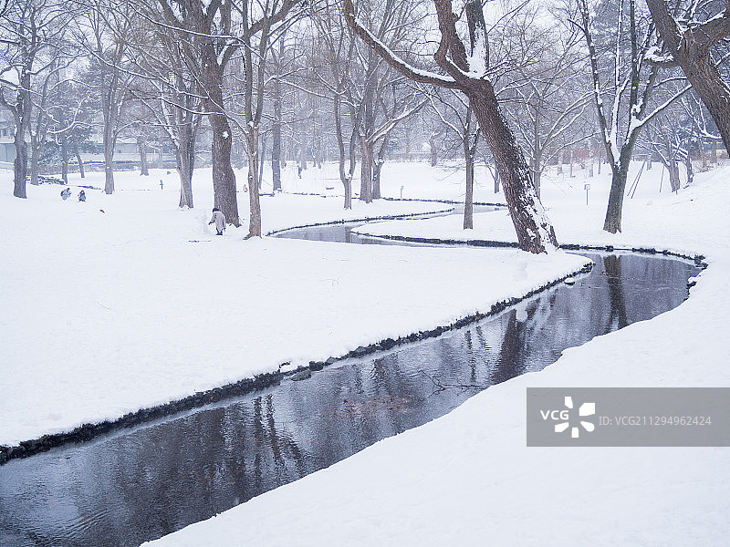 冬季北海道大学雪景图片素材