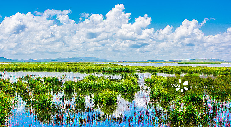 红原若尔盖湿地图片素材