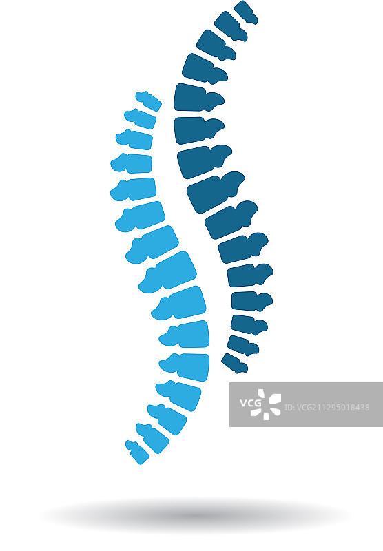 脊椎图标图片素材