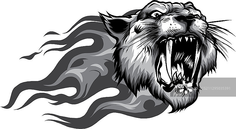 吐着舌头的咆哮老虎头像图片素材