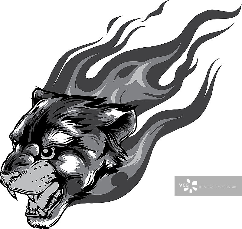 火焰纹身美洲虎头部单色设计图片素材