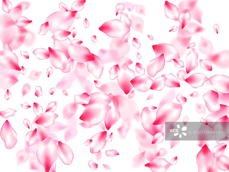 日式樱花粉色花瓣飞舞图片素材