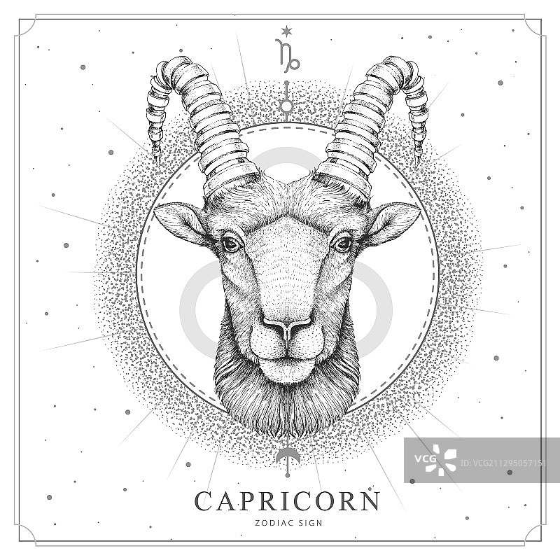 摩羯座魔法巫术卡片图片素材