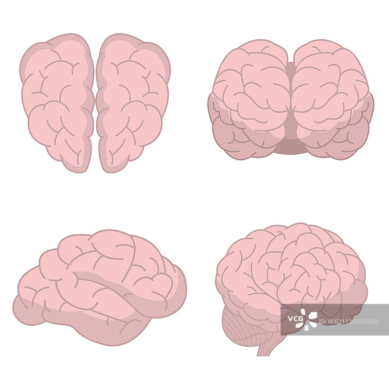 人脑图标图片素材