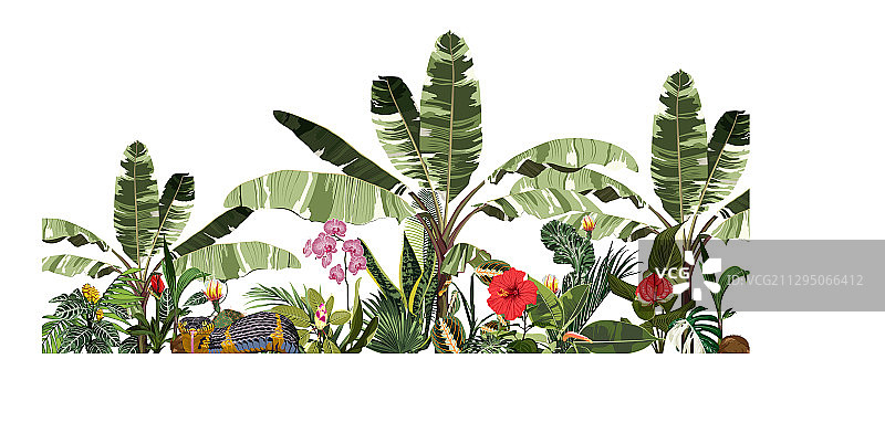 热带植物景观棕榈树香蕉图片素材