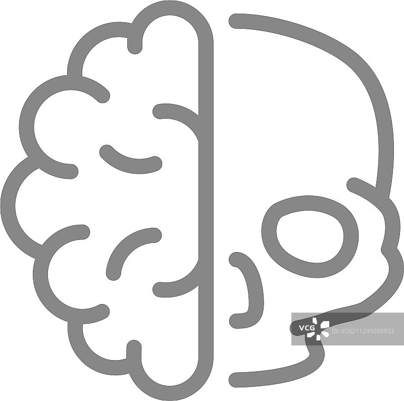 带颅骨线的人脑图标，健康内脏图片素材