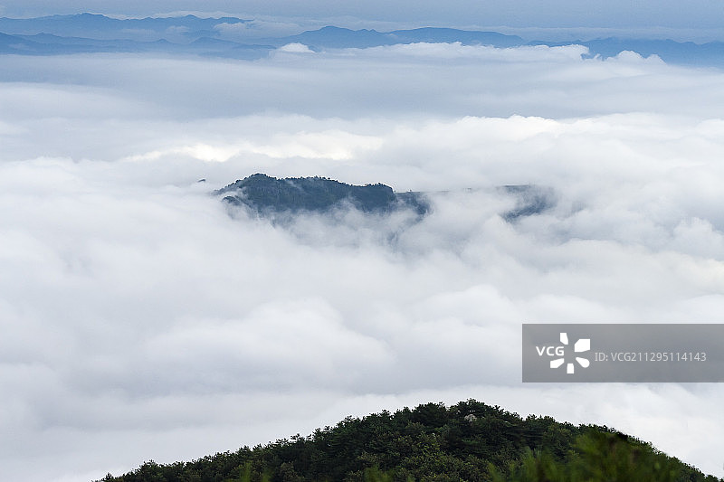 蒙阴县 蒙山云海图片素材