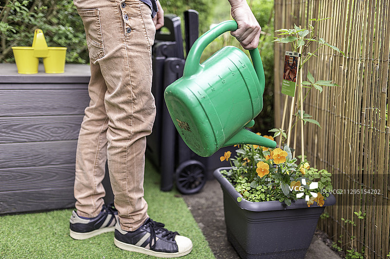 在德国埃尔福特，成年白人妇女在后花园用绿色喷壶浇水图片素材