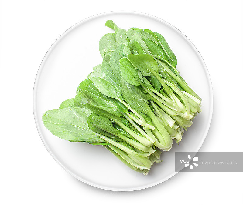 鸡毛菜图片素材