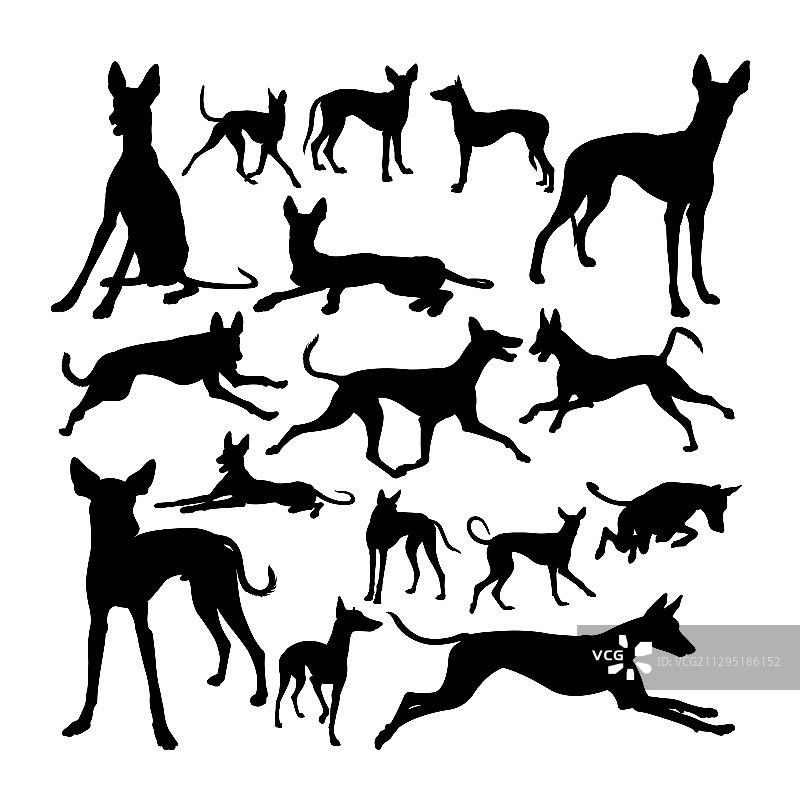 伊比赞猎犬动物剪影图片素材