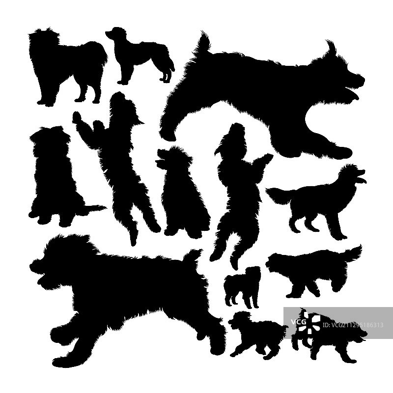 比利牛斯牧羊犬剪影图片素材