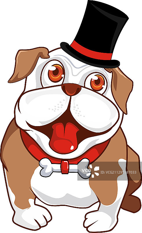 雄性斗牛犬-01图片素材