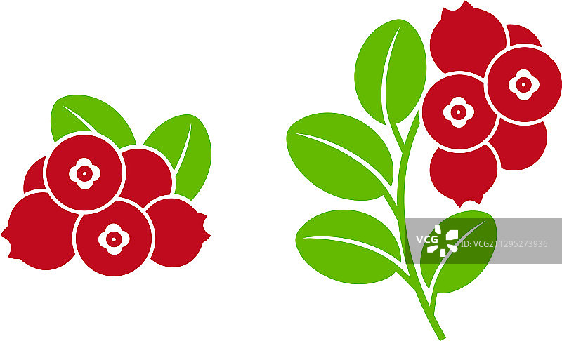 蔓越莓图片素材