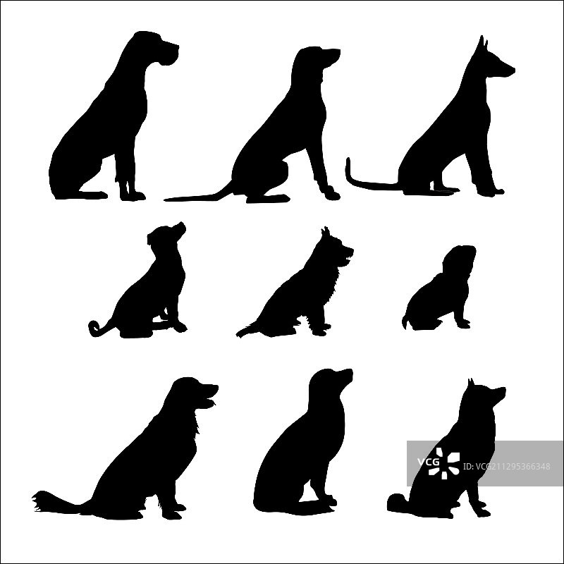 九只黑色坐着的狗图片素材