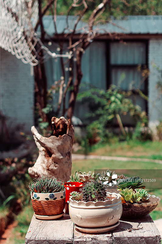 新时代农家小院图片素材