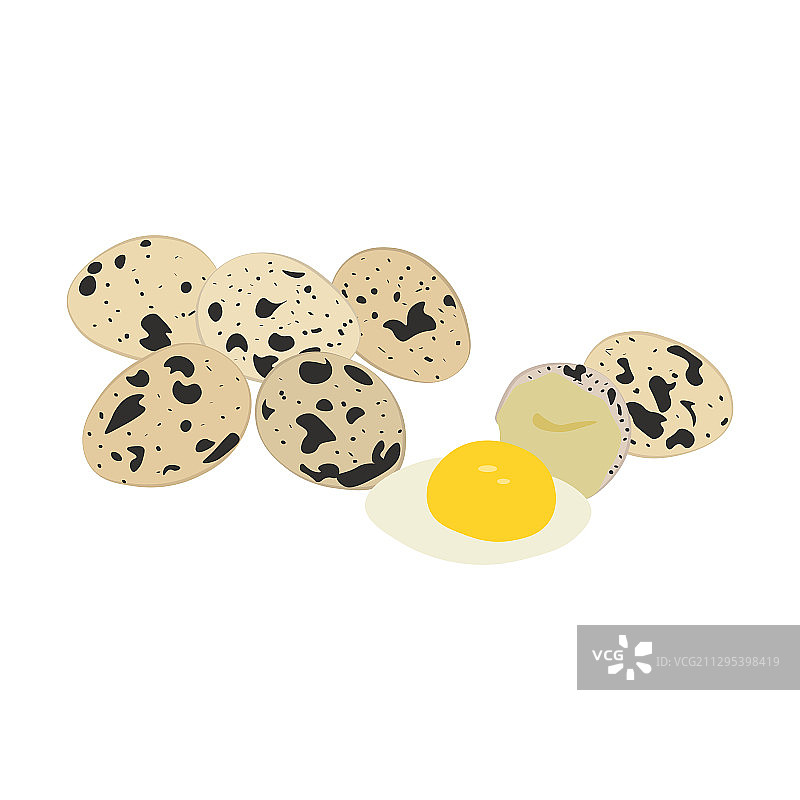 有机新鲜鹌鹑蛋图片素材