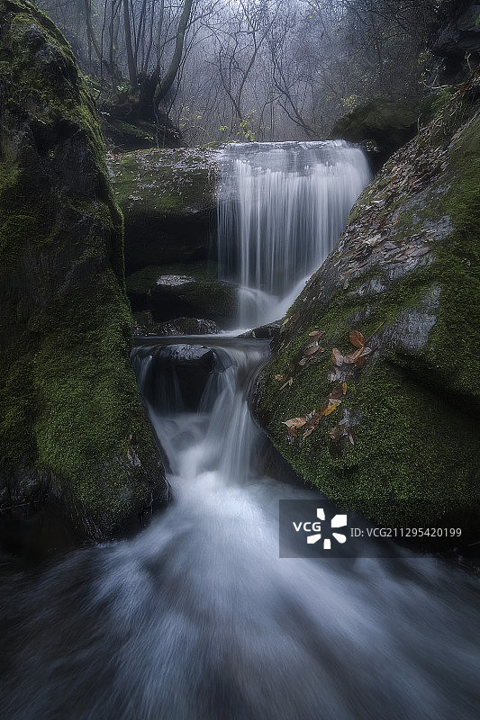 寂静山林图片素材