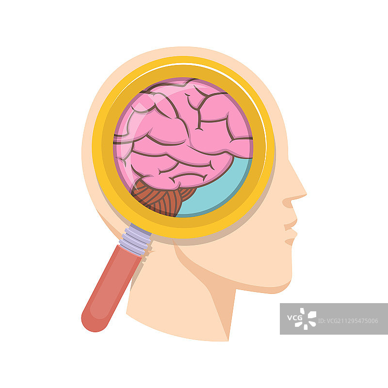 人脑研究图片素材