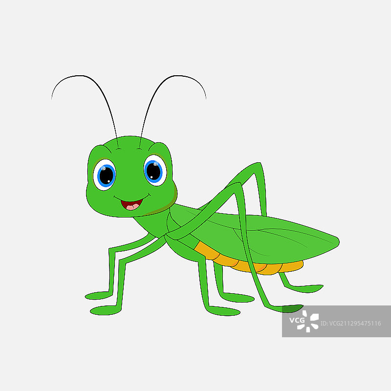 蚱蜢图片素材