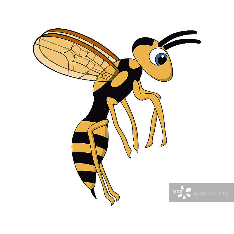 卡通可爱飞行黄蜂白色背景图片素材