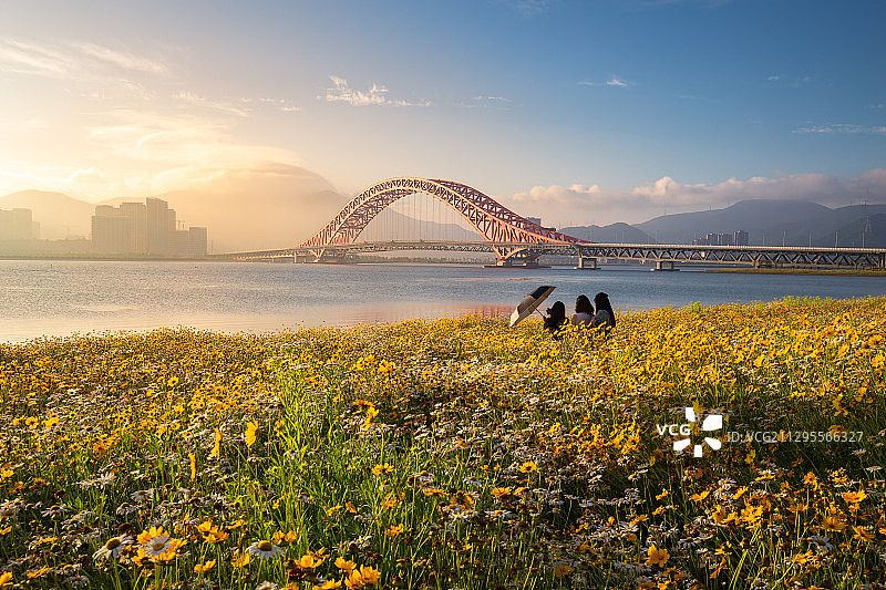 北仑梅山红桥花海图片素材