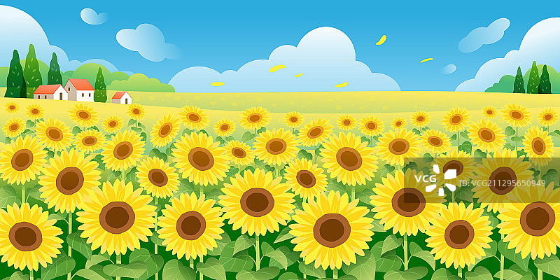 蓝天下的向日葵横版图片素材