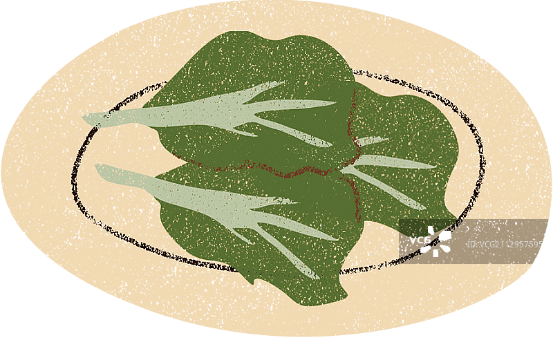 青菜图片素材