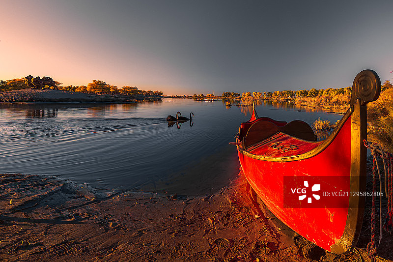 额济纳旗弱水金沙胡杨林风光图片素材