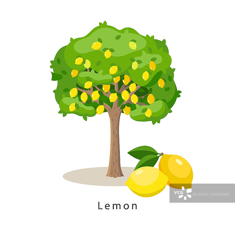 扁平风格的柠檬树图片素材