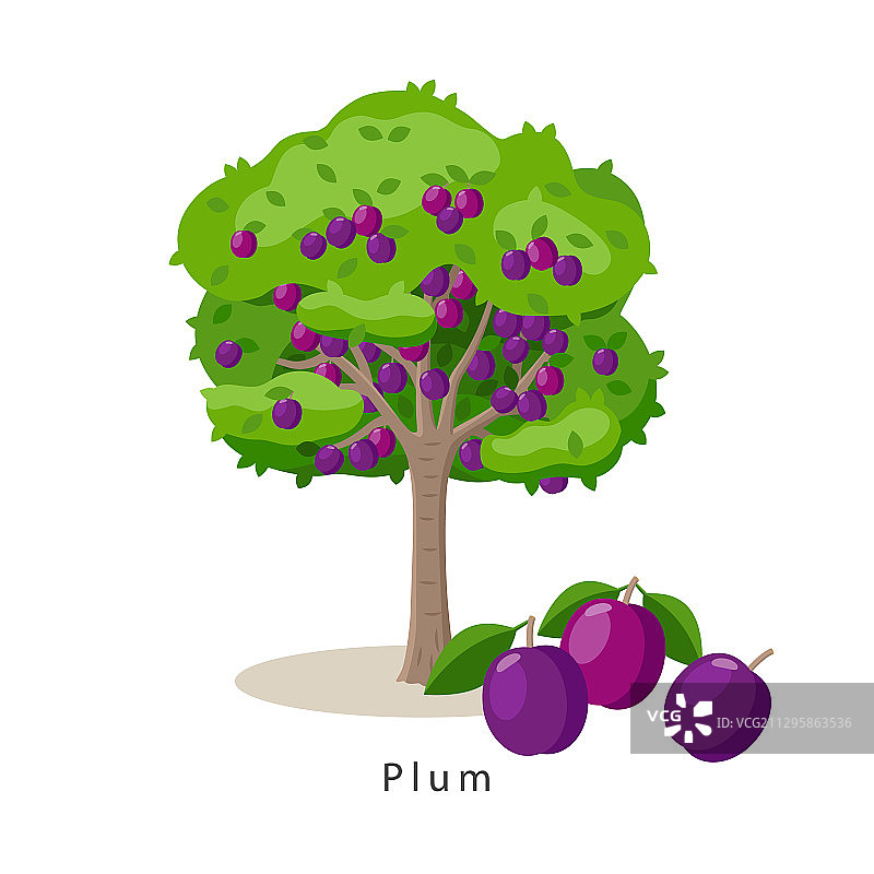 扁平风格梅花树图片素材