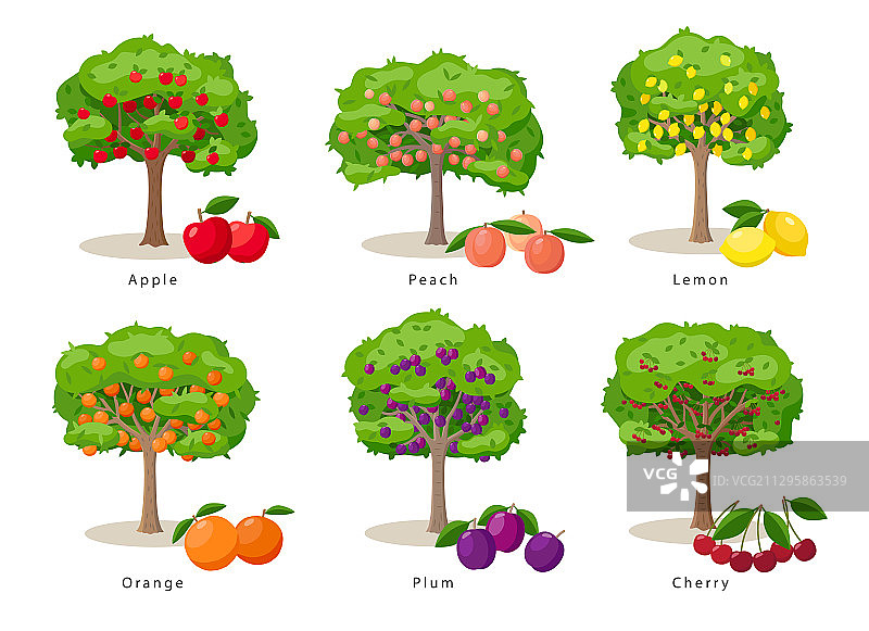 扁平卡通风格的果树合集图片素材