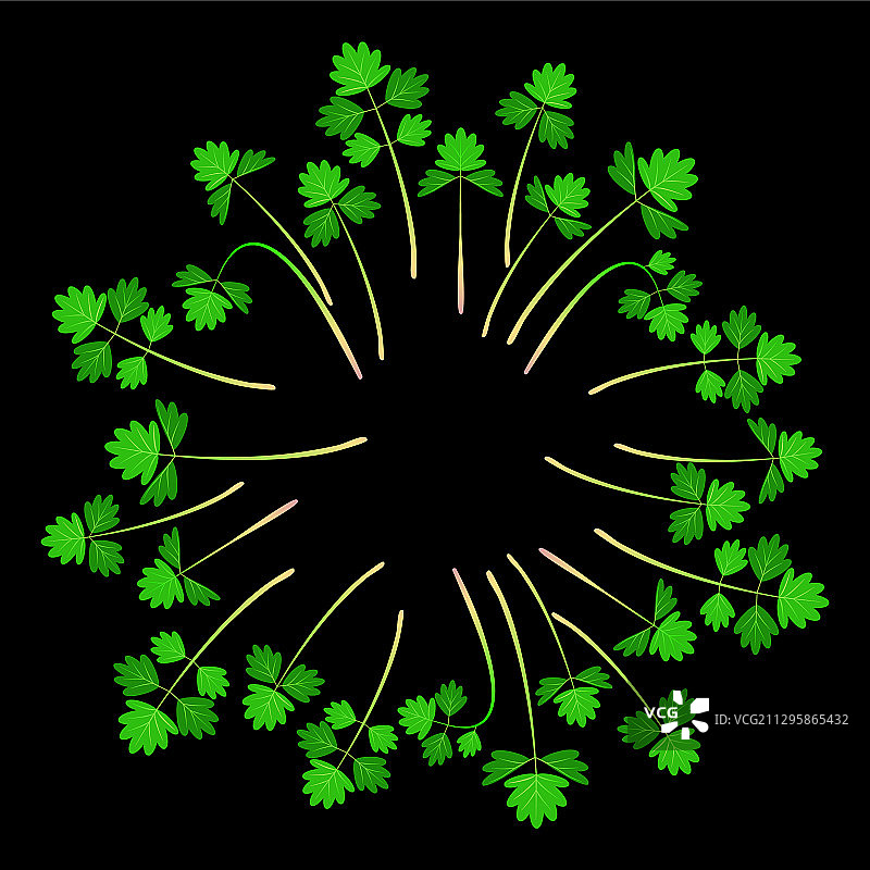 小血草微型蔬菜沙拉图片素材