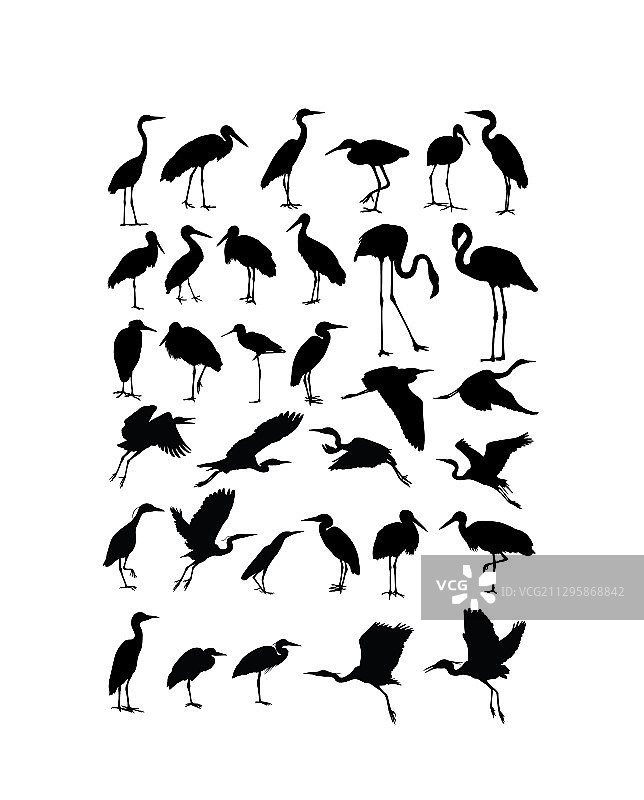 苍鹭、白鹭和鹳鸟剪影图片素材