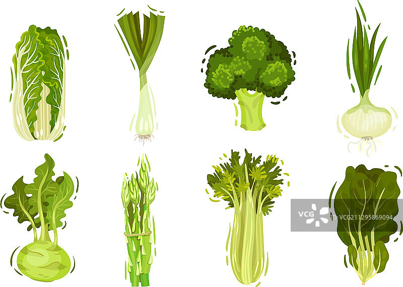 绿色蔬菜：卷心菜和芹菜图片素材