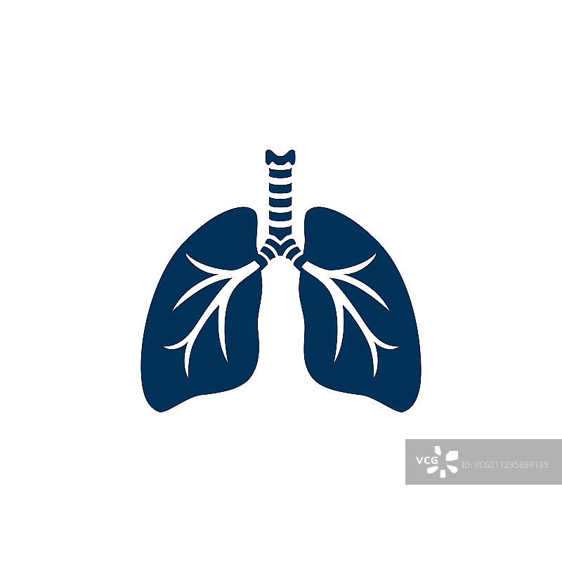 人类肺部轮廓图片素材