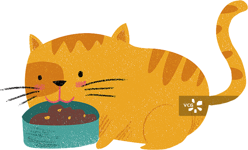 猫咪图片素材