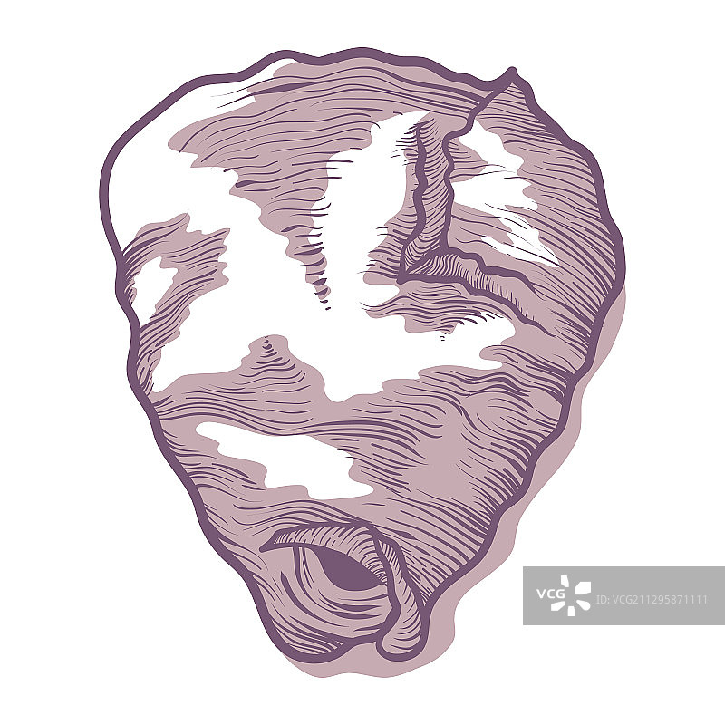 黄蜂巢图标：野生动物与昆虫学图片素材