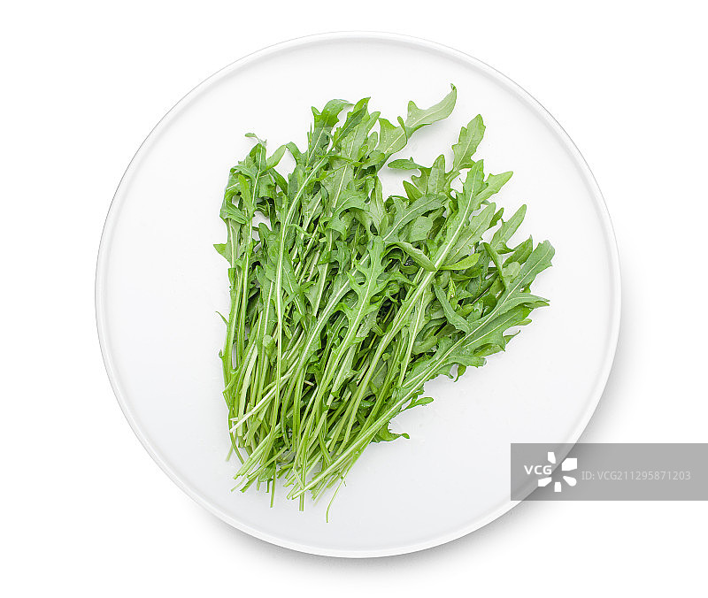 芝麻菜图片素材