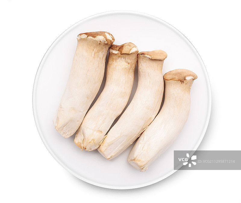 杏鲍菇图片素材