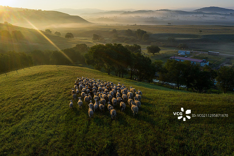 乌兰布统坝上草原图片素材