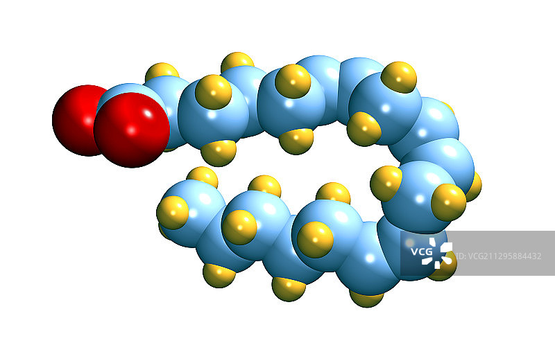 伽马亚麻酸计算机模型图片素材